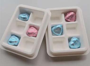 Compostable Bio Trays