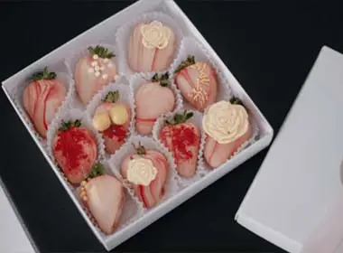 Paper Pulp Trays